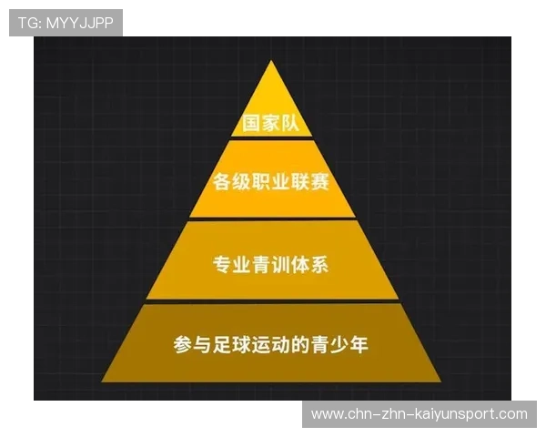 琑队如何优化青训资源配置，本队青训的规定