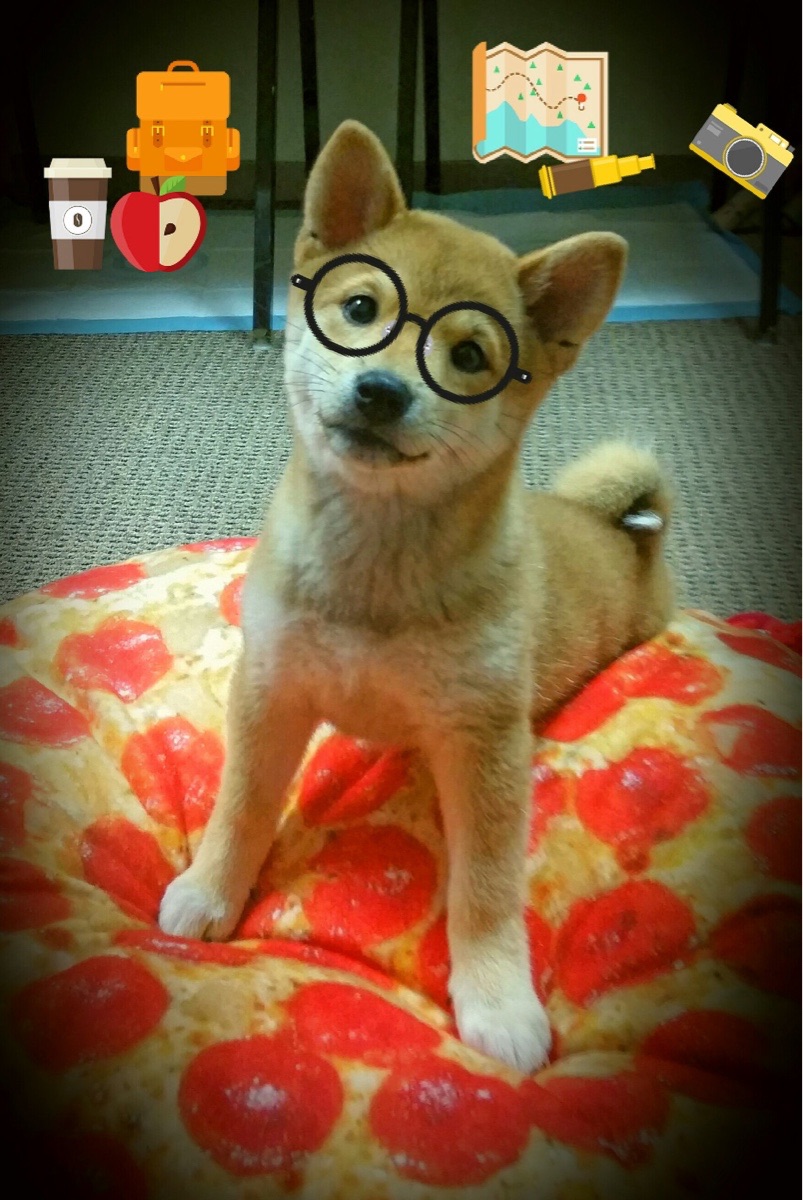 开云体育官网-意甲狂热对决：速度、技术、战术的绝佳演绎，意甲热身赛