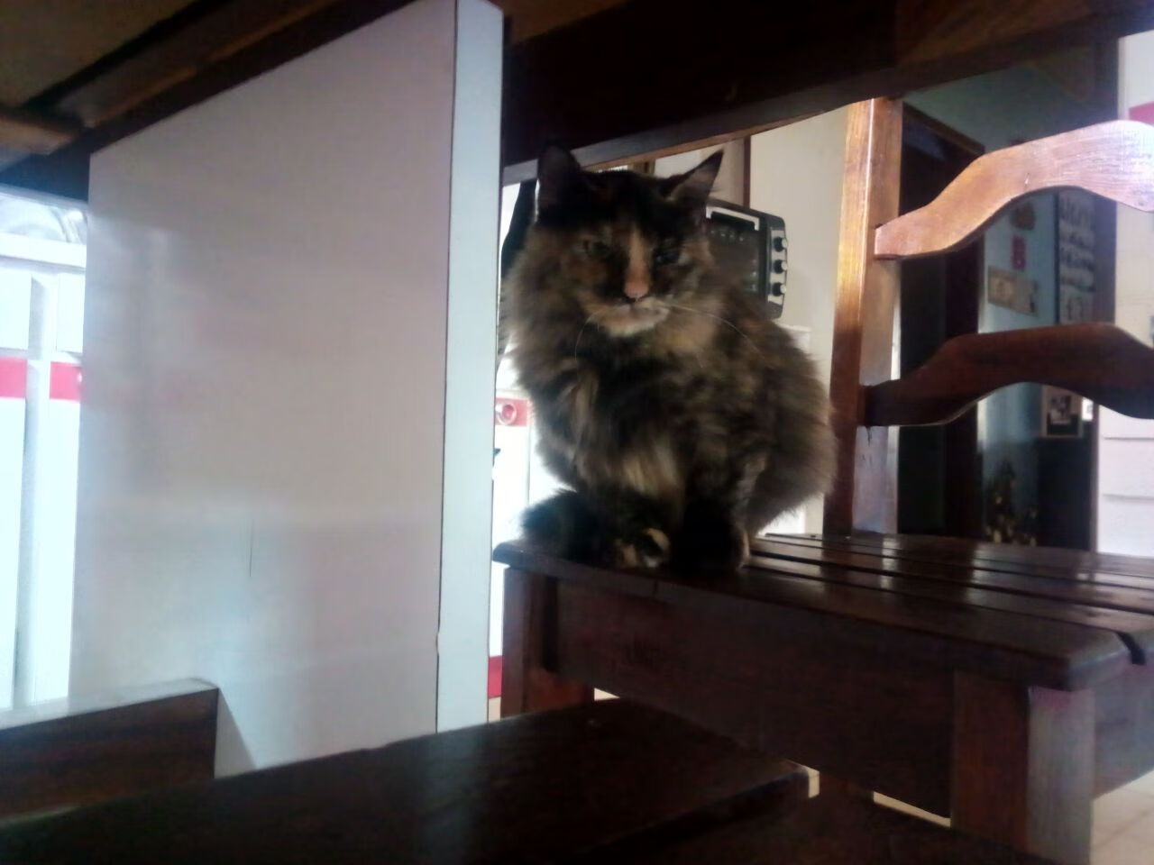 曼联球迷自制应援歌走红网络,曼联队歌