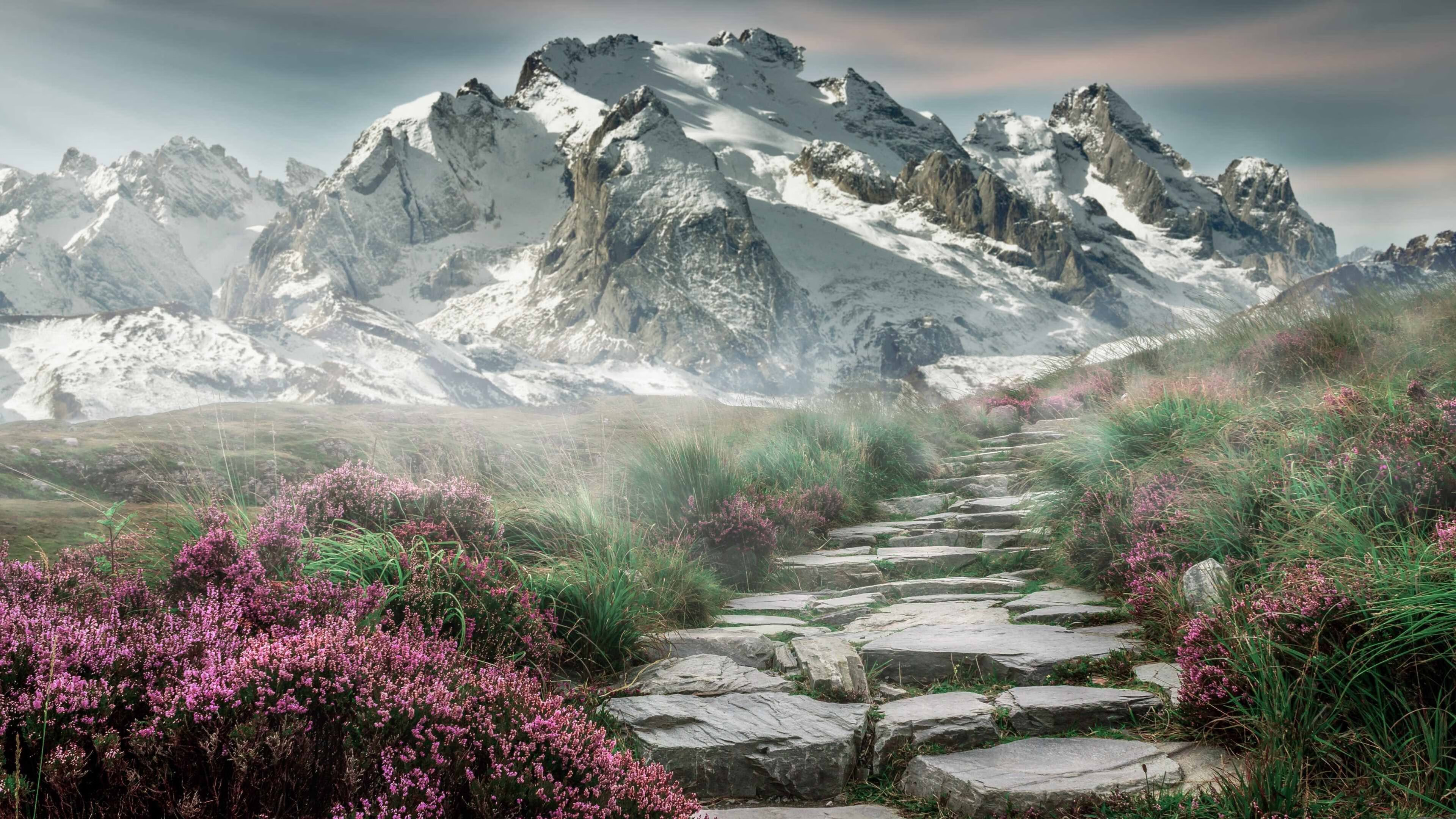 特色足球文化在海外推广,提升国家体育软实力,足球特色学校文化